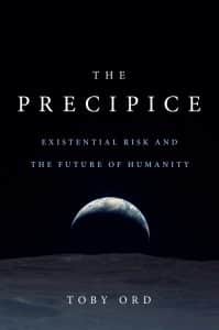 The Precipice Book Cover